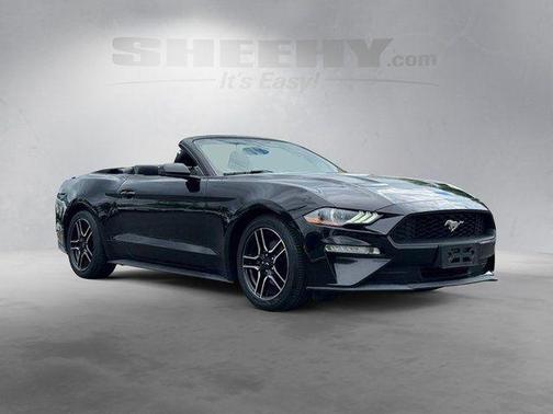 Shadow Black 2019 Ford Mustang EcoBoost Premium
