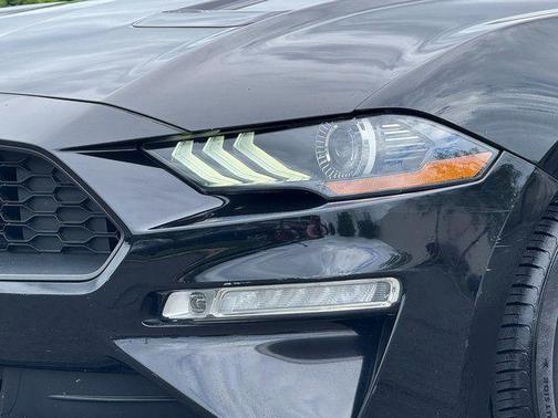 Shadow Black 2019 Ford Mustang EcoBoost Premium