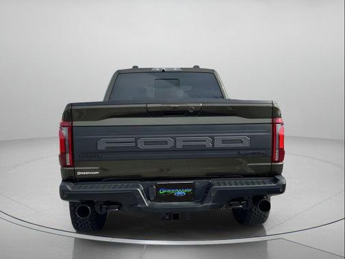 SHELTER GREEN 2025 Ford F-150 Raptor