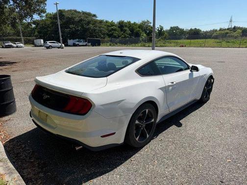 OXFORD WHITE 2019 Ford Mustang EcoBoost