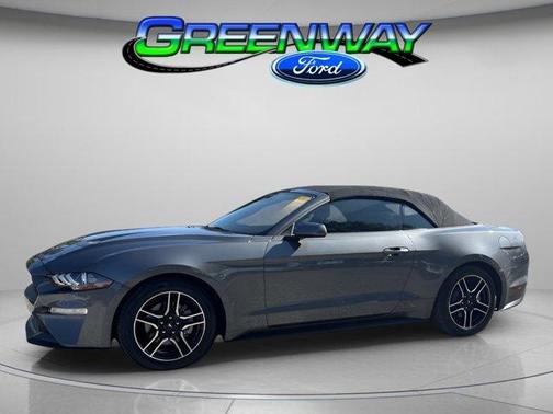 2022 Ford Mustang EcoBoost