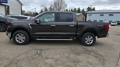 DARKENED BRONZE METALLIC 2024 Ford F-150 XLT