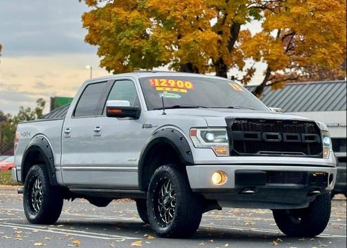 2013 Ford F-150 Platinum