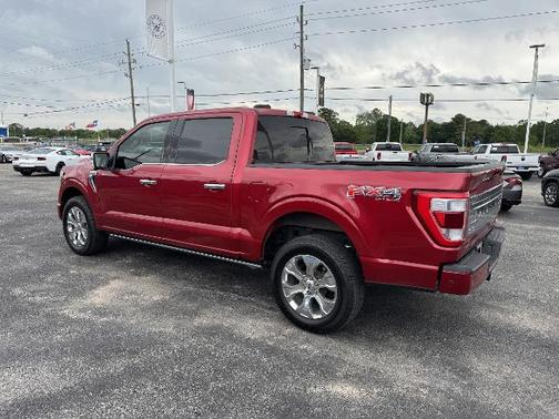 2021 Ford F-150 PLATINUM