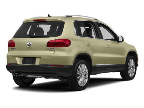 White Gold Metallic 2013 Volkswagen Tiguan SE