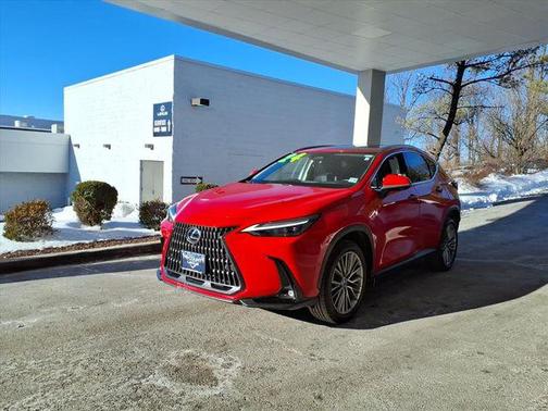 2024 Lexus NX 350h Luxury