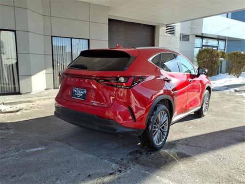 2024 Lexus NX 350h Luxury