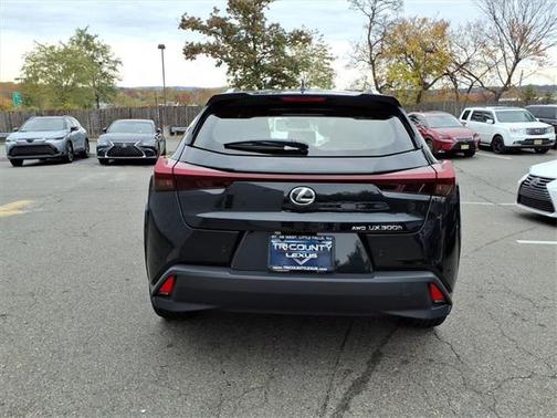 2025 Lexus UX 300h Premium