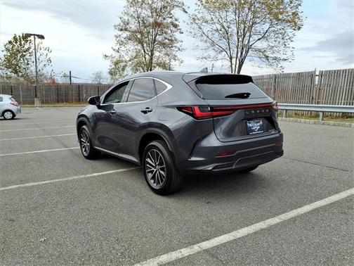2024 Lexus NX 250 Base