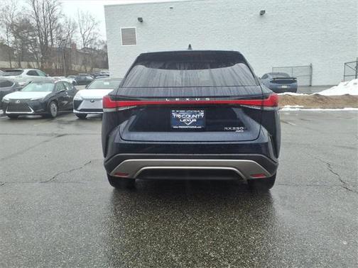 2023 Lexus RX 350 Luxury