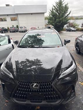 2025 Lexus NX 250 Premium