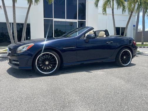 2014 Mercedes-Benz SLK-Class SLK 250