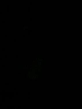 Summit White 2018 Chevrolet Silverado 1500 WT