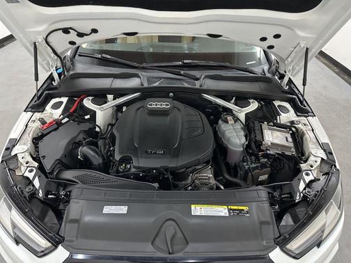 Ibis White 2019 Audi A4 2.0T Titanium Premium