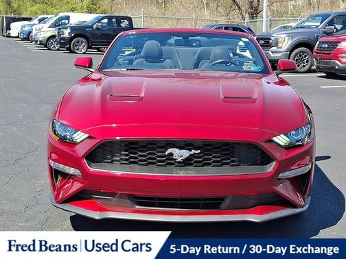 2019 Ford Mustang ECOBOOST