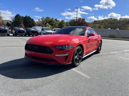 2019 Ford Mustang EcoBoost