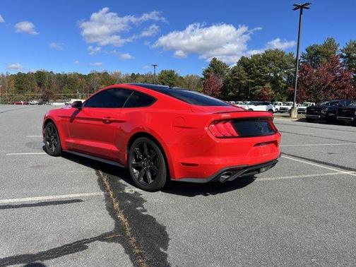 2019 Ford Mustang EcoBoost