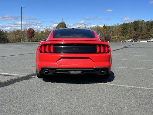 2019 Ford Mustang EcoBoost