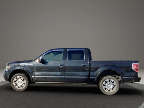 2013 Ford F-150 Platinum