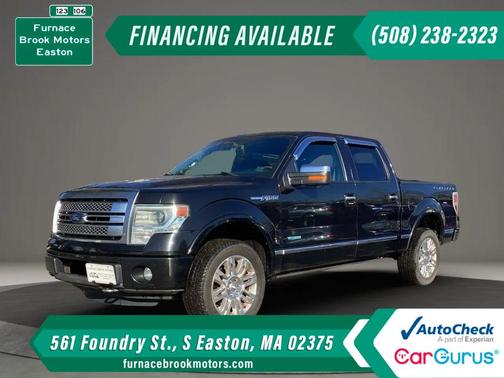 2013 Ford F-150 Platinum