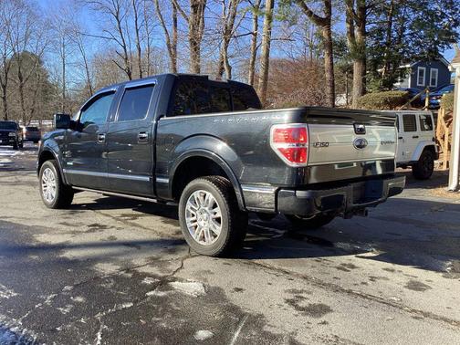 2013 Ford F-150 Platinum