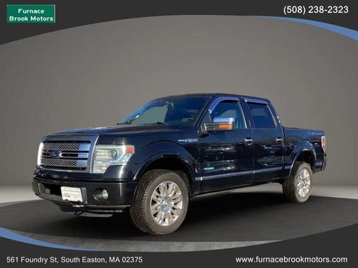 2013 Ford F-150 Platinum
