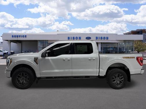 AVALANCHE 2023 Ford F-150 Tremor