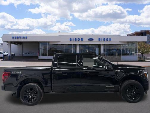 AGATE BLACK METALLIC 2025 Ford F-150 Platinum