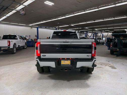 AVALANCHE 2025 Ford F-450 Platinum