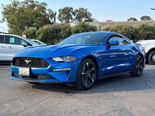 2019 Ford Mustang EcoBoost