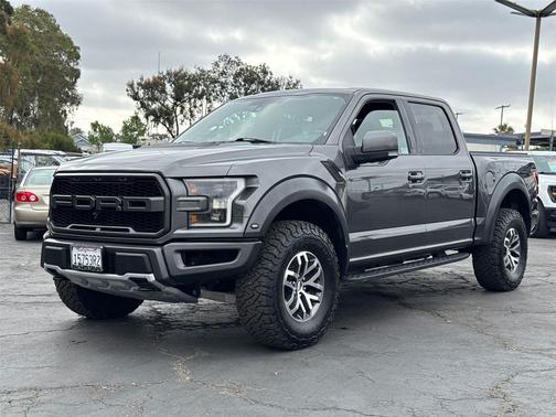 Magnetic 2018 Ford F-150 Raptor