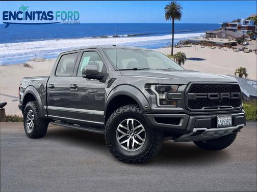 Magnetic 2018 Ford F-150 Raptor