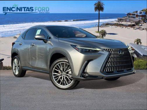 2024 Lexus NX 350h Luxury