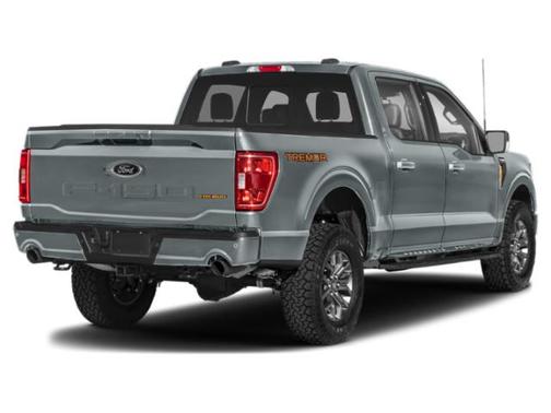 Carbonized Gray Metallic 2023 Ford F-150 Tremor
