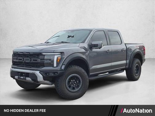Carbonized Gray Metallic 2025 Ford F-150 Raptor