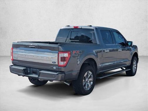 2021 Ford F-150 Platinum