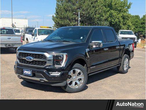 2021 Ford F-150 Platinum