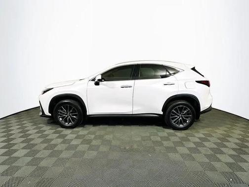 2022 Lexus NX 350 Premium