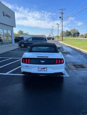 2022 Ford Mustang EcoBoost