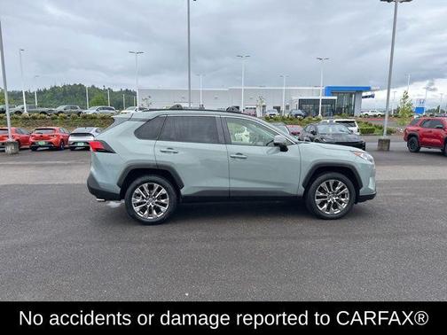 Lunar 2019 Toyota RAV4 XLE Premium