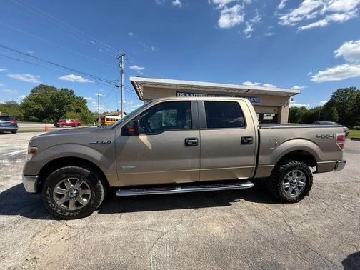 Kodiak Brown Metallic 2014 Ford F-150 XLT
