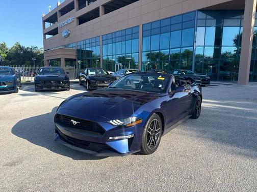 Kona Blue Metallic 2019 Ford Mustang EcoBoost Premium