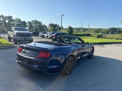 Kona Blue Metallic 2019 Ford Mustang EcoBoost Premium