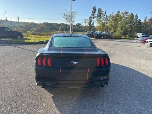 2020 Ford Mustang EcoBoost