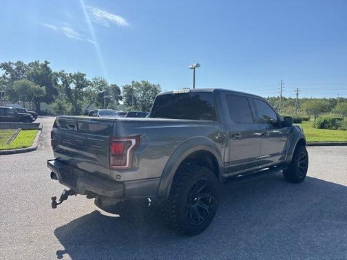 Magnetic Metallic 2018 Ford F-150 Raptor