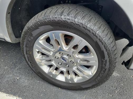 2013 Ford F-150 Platinum