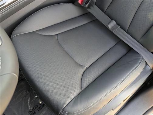 2026 Audi Q8 55 Premium Plus