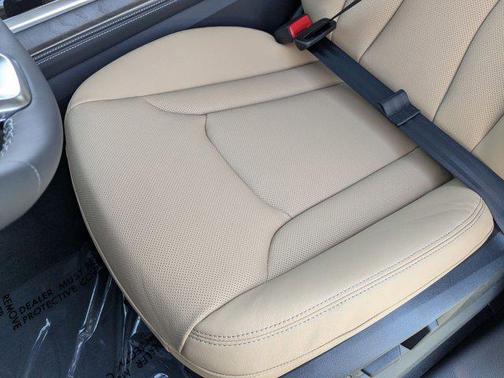 2025 Audi Q8 55 Premium Plus