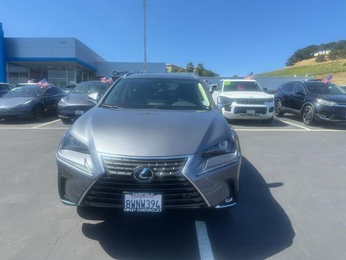 Nebula Gray Pearl 2021 Lexus NX 300 Base