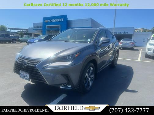 Nebula Gray Pearl 2021 Lexus NX 300 Base